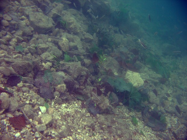 Vorderer Langbathsee