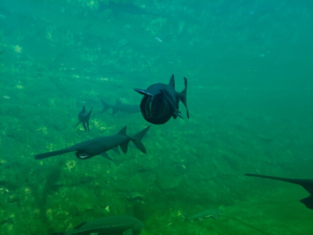 Ibbenbüren NaturaGart